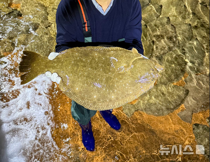 [서울=뉴시스] 이마트는 주말 대형 할인 행사인 '고래잇 페스타 주말 특가' 행사를 진행한다고 30일 밝혔다. 지난해 2월 판매 뒤로 1년 만에 이마트 황제광어회를 다시 내놓는다. 원물 기준 4㎏ 내외의 대형 크기 광어만을 활용한 황제광어회(360g 내외·팩)는 최대 50% 저렴한 2만1900원에 판매한다. (사진=이마트 제공) 2026.01.30.photo@newsis.com