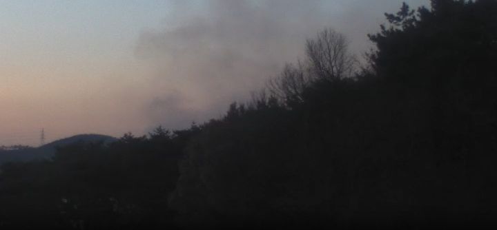 [당진=뉴시스] 충남 당진시 고대면 항곡리 산 37의6 일원에서 발생한 산불로 희미하게 연기가 피어 오르고 있다. (사진=산림청 제공) 2026.01.29. photo@newsis.com *재판매 및 DB 금지