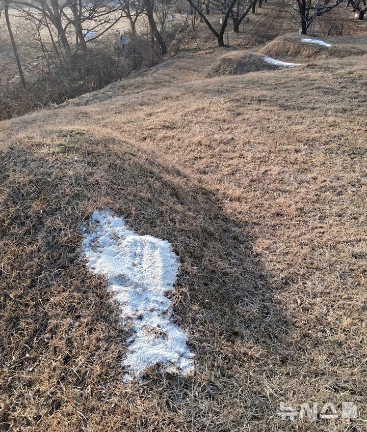 "괴한이 조상묘에 굵은 소금 뿌려놨다"…경찰 수사 착수