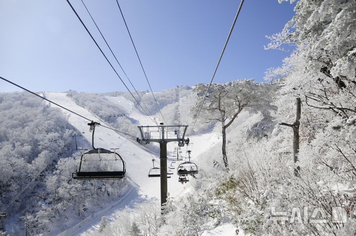 부영 무주·오투리조트 스키장, 최상급 슬로프 31일 오픈