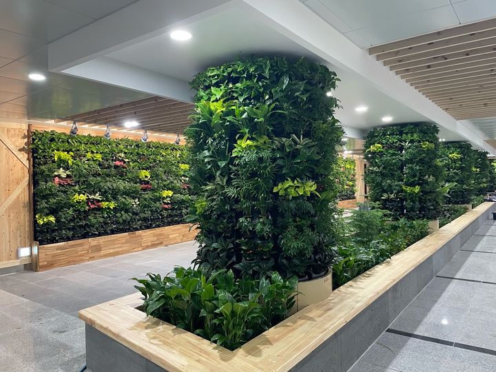 [대전=뉴시스]대전 서구 보라매 지하보도 실내정원. 2026. 01. 30 photo@newsis.com *재판매 및 DB 금지