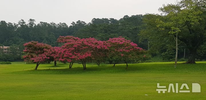 [거제=뉴시스] 신정철 기자= 경남 거제시는 대통령 별장이 위치한 섬 저도(猪島)가 오는 2월 2일, 새해 들어 처음으로 관광객 맞이를 시작한다고 30일 밝혔다.사진은 저도 연리지정원 모습.(사진=뉴시스DB).2026.01.30. sin@newsis.com