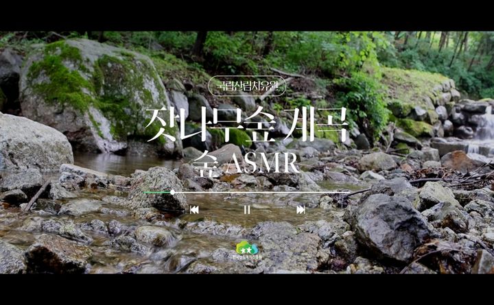 [대전=뉴시스] 산림청 한국산림복지진흥원이 일상속 힐링을 위한 '숲 ASMR’ 소리·영상 6종을 유튜브 채널에 공개했다.(사진=한국산림복지진흥원 제공) *재판매 및 DB 금지