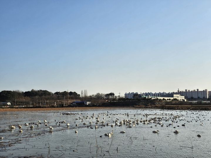 충남권 아침 최저 -13도·낮 최고 4도…미세먼지 '보통'