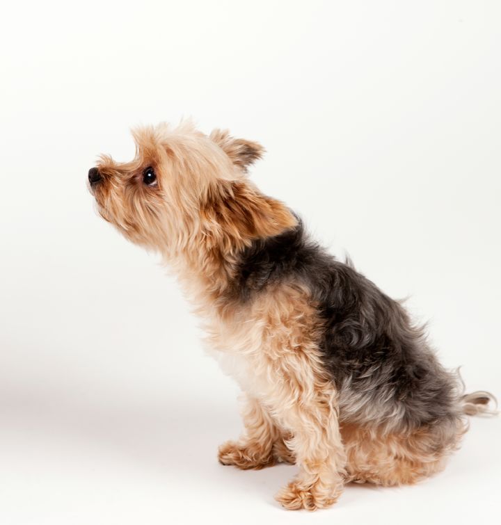 [서울=뉴시스] 기사의 이해를 돕기 위한 이미지. (사진=유토이미지)  *재판매 및 DB 금지