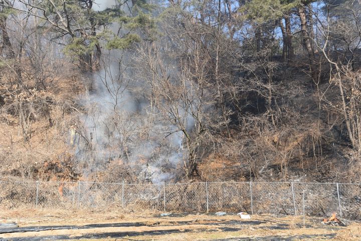 대전 동구 장척동 일원서 산불…45분 만에 진화