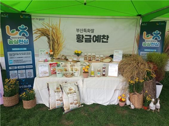 [부산=뉴시스] 부산시 농업기술센터는 오는 2월13일까지 '2026년 벼 수요자 참여 개발품종 조기확산 시범사업'의 하나로 '황금예찬' 계약재배 사전 수요조사를 실시한다고 1일 밝혔다. (사진=부산시 농업기술센터 제공) 2026.02.01. photo@newsis.com *재판매 및 DB 금지