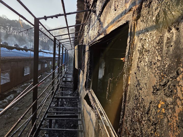 [천안=뉴시스]충남 천안 동남구 성남면 축사 화재 피해 모습.(사진=천안동남소방서 제공) *재판매 및 DB 금지