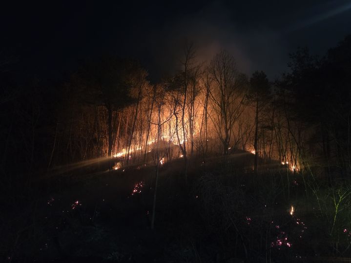 [동해=뉴시스] 1일 동해시 달방동 인근 한 야산에서 산불이 발생, 소방당국이 진화에 나서고 있다.(사진=강원도소방본부 제공)photo@newsis.com *재판매 및 DB 금지