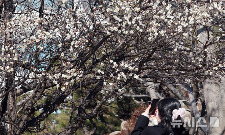 부산, 맑고 건조한 날씨…낮 최고기온 18도