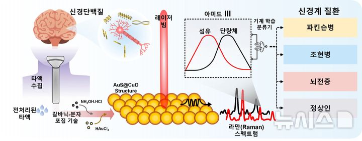 [창원=뉴시스]타액 기반 신경계 질환 진단 기술 모식도. 타액(침)만을 채취하여 3차원 복합(AuS@CuO) 나노구조체 소재를 이용해 매우 약한 신경 단백질의 라만 신호를 크게 증폭해 검출하고, 이를 머신러닝으로 분석함으로써 파킨슨병, 조현병, 뇌전증과 같은 난치성 신경계 질환을 정확하게 구분·진단할 수 있다.(자료=한국재료연구원 제공) 2026.-2.02. photo@newsis.com