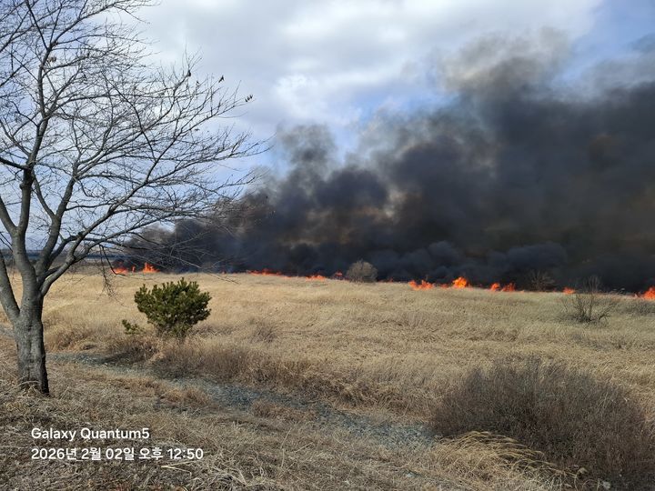 [창원=뉴시스] 2일 오후 경남 창원시 의창구 대산면 일동리 수산대교 아래 갈대밭에서 화재가 발생하고 있다. (사진=창원소방본부 제공) 2026.02.02. photo@newsis.com *재판매 및 DB 금지