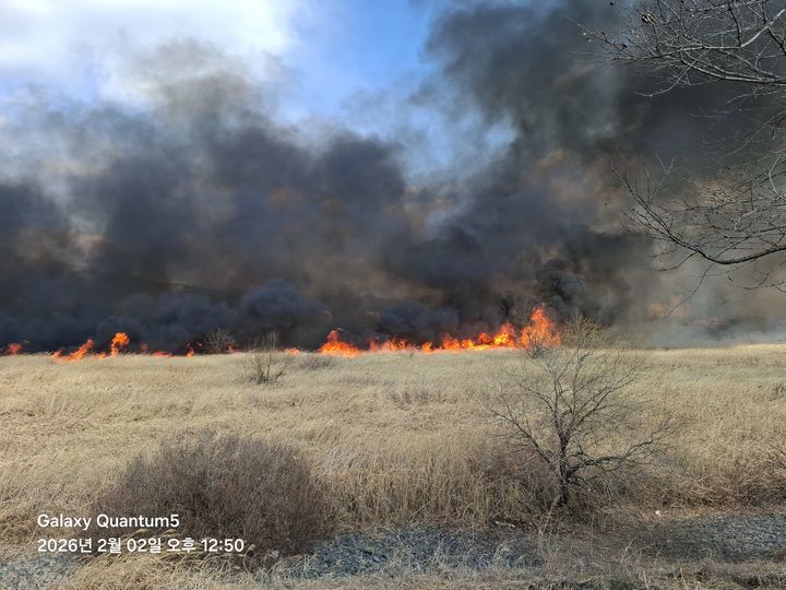 [창원=뉴시스] 강경국 기자 = 2일 오후 경남 창원시 의창구 대산면 일동리 수산대교 아래 갈대밭에서 화재가 발생하고 있다. (사진=창원소방본부 제공). 2026.02.02. photo@newsis.com *재판매 및 DB 금지