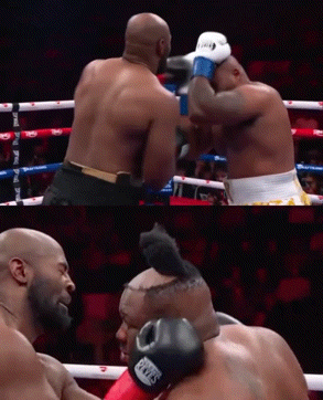 [뉴시스] 미국의 한 복서가 경기 도중 가발이 벗겨지는 예상치 못한 장면으로 온라인에서 화제를 모으고 있다. (사진='Happy Punch' SNS) *재판매 및 DB금지 