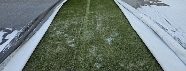 [서울=뉴시스]잔디그라운드 동결. 2026.01.15. (사진=서울시 제공)&nbsp; *재판매 및 DB 금지