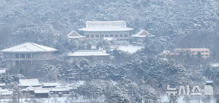 간밤 강원에 8㎝ 넘는 눈 쌓여…국립공원·여객선 통제