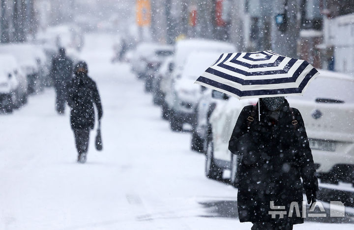 [대구=뉴시스] 이무열 기자 = 눈이 내리는 2일 대구 동구 효동로 일대에서 시민들이 발걸음을 옮기고 있다. 2026.02.02. lmy@newsis.com