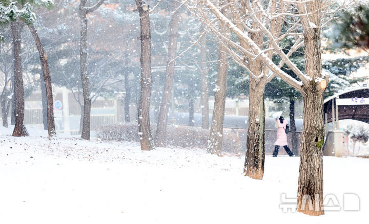 [인천=뉴시스] 전진환 기자 = 밤사이 눈이 내린 2일 오전 인천 남동구 중앙공원에서 한 시민이 바람에 날리는 눈을 맞으며 걸어가고 있다. 2026.02.02. amin2@newsis.com