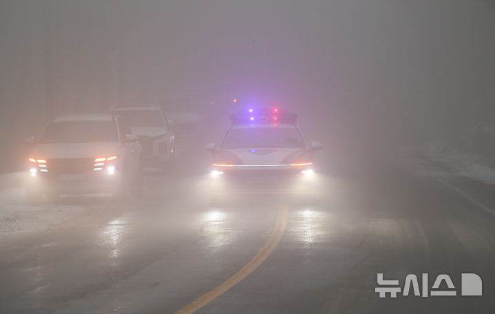 짙은 안개. (사진=뉴시스 DB). photo@newsis.com 