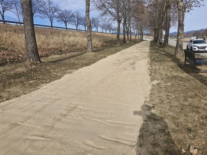 [구미=뉴시스] 플라타너스 맨발길. (사진=구미시 제공) 2026.02.03 photo@newsis.com *재판매 및 DB 금지