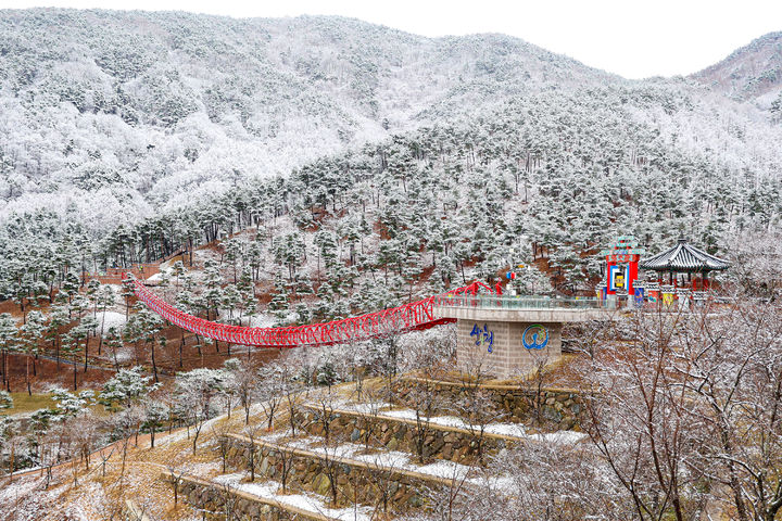 [산청=뉴시스] 산청 동의보감촌 설경 스케치 동의전 무릉교 주제관 전경 (사진=산청군 제공) 2026. 02.03. photo@newsis.com *재판매 및 DB 금지