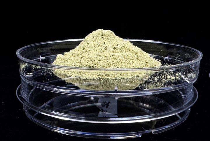 [세종=뉴시스] 사진은 누에 분말 원료. (사진=농촌진흥청 제공) 2026.02.03. photo@newsis.com *재판매 및 DB 금지