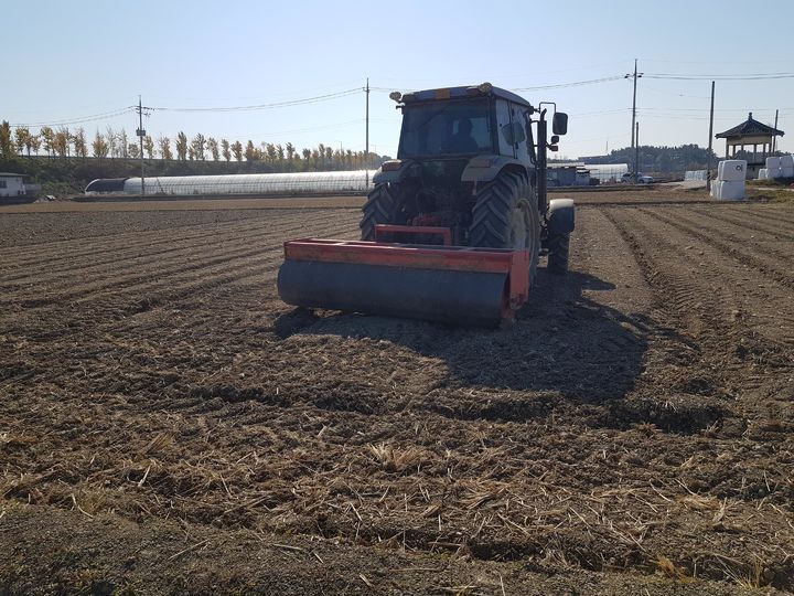 [세종=뉴시스] 농촌진흥청은 겨울을 난 보리·밀 등 맥류가 다시 자라기 시작하는 '생육 재생기'를 앞두고 수량성과 품질을 높이기 위한 철저한 재배 관리를 3일 당부했다. 사진은 답압기로 토양을 밟아주는 모습. (사진=농진청 제공) 2026.02.03. photo@newsis.com *재판매 및 DB 금지