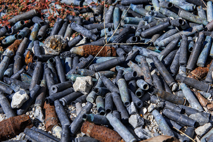 "항문에서 1차 세계대전 실탄 발견"…20대 男 응급실 소동