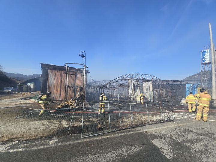 장흥 용산면 농장서 불…오리 5000마리 폐사