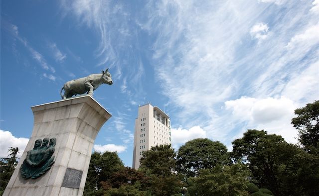 건국대, 2026학년도 정시모집 최초합격자 1374명 발표