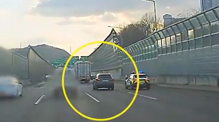 만취 상태로 운전대 잡은 40대, 출근 중 경찰에 덜미