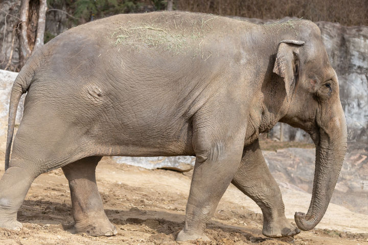 [뉴시스] 기사의 이해를 돕기 위한 이미지. (사진=유토이미지) *재판매 및 DB금지 *재판매 및 DB 금지
