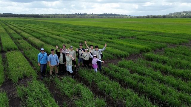 세종대, 호주 서던크로스대와 심포지움 개최…식물생명과학 협력 논의