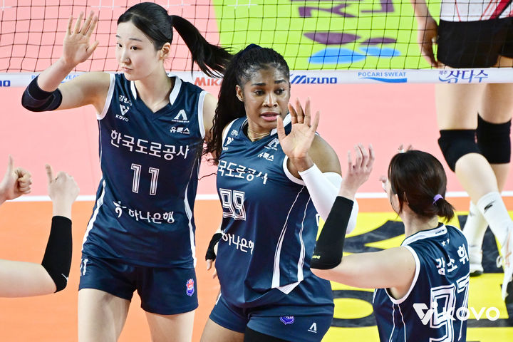 [서울=뉴시스]여자배구 한국도로공사 모마. (사진=KOVO 제공)