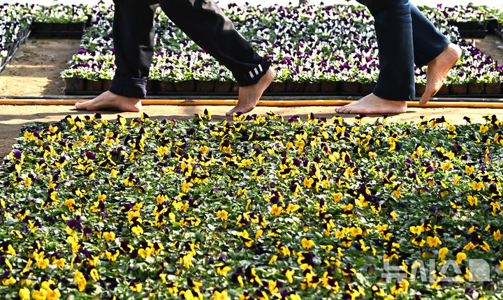 울산, 가끔 구름 많고 건조…최저 0도·최고 7도