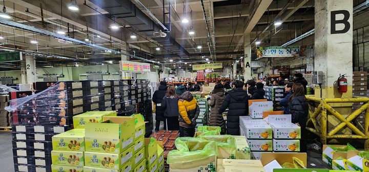 [창원=뉴시스]농협창원공판장의 경매 모습.2026.02.04.sky@newsis.com *재판매 및 DB 금지