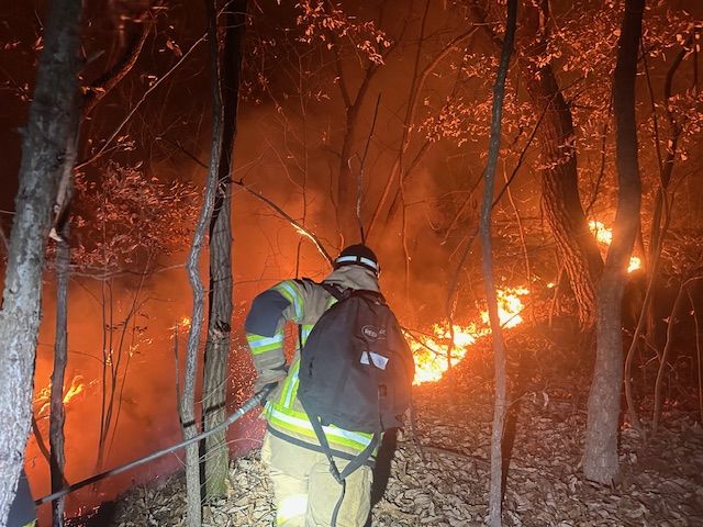 새벽 대구 달성군 야산 불…산림 0.25㏊ 소실