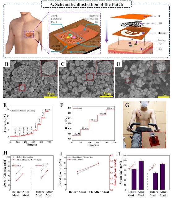 [서울=뉴시스] 패치 구조도 및 성능 평가 결과. (사진=광운대 제공) 2026.02.04. photo@newsis.com *재판매 및 DB 금지