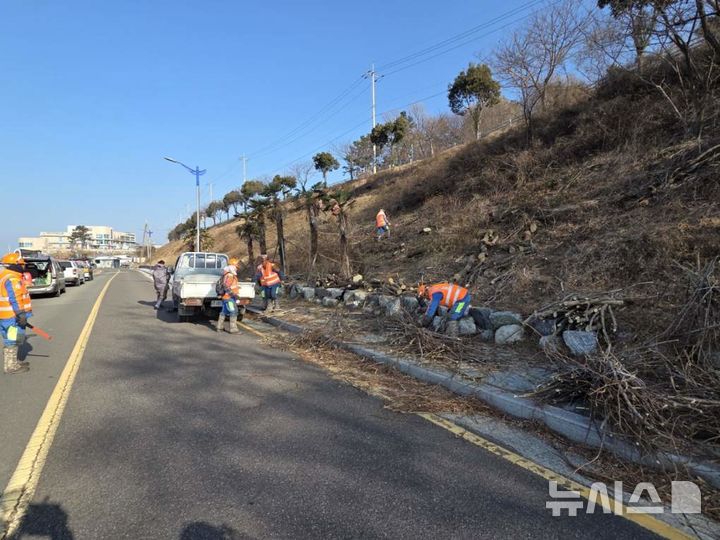 사천시, 설명절 맞아 대대적 환경정비 나서