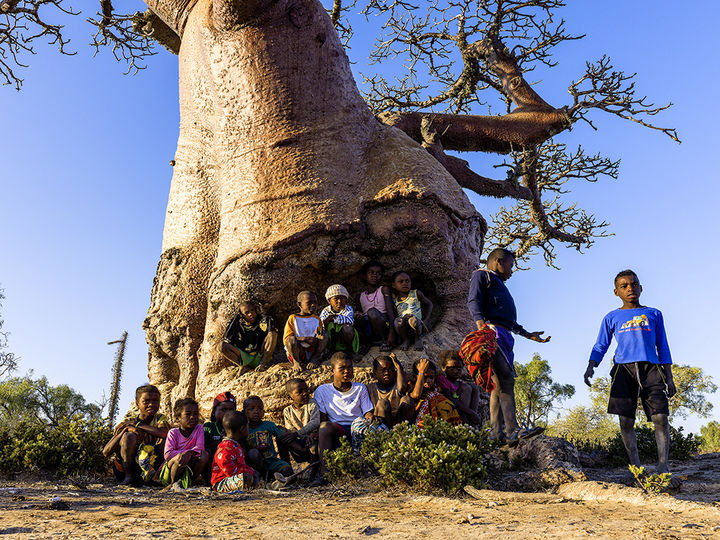 [합천=뉴시스] 서정철 사진작가, 마다가스카르 바오밥 사진전- 神이 된 나무) (사진=합천군 제공) 2026. 02. 04. photo@newsis.com *재판매 및 DB 금지