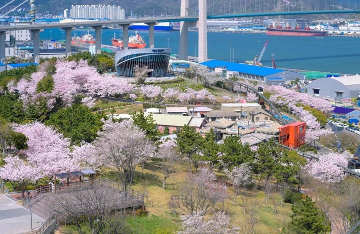 [울산=뉴시스] 울산 남구 장생포 고래문화마을. (사진=울산 남구 제공) 2026.02.04. photo@newsis.com *재판매 및 DB 금지