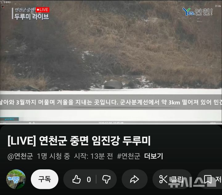 [연천=뉴시스] 지난 4일 오전 연천군 공식 유튜브 채널에 올라온 두루미 실시간 생중계 영상에 두루미는 보이지 않은 채 시청자 수는 1명을 보이고 있다. photo@newsis.com