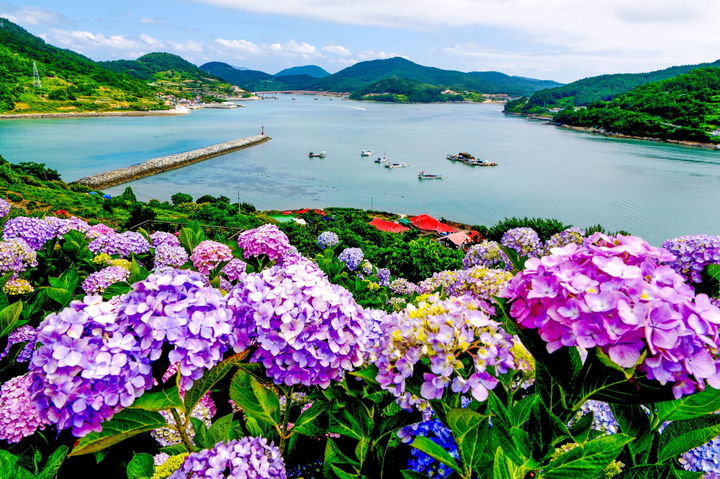 [고흥=뉴시스] 고흥군 쑥섬 (사진=고흥군 제공) 2026.02.04. photo@newsis.com *재판매 및 DB 금지