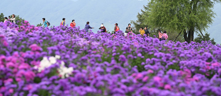 [거창=뉴시스] 거창 감악산 별바람 언덕 (사진=거창군 제공) 2026. 02. 04. photo@newsis.com&nbsp; *재판매 및 DB 금지