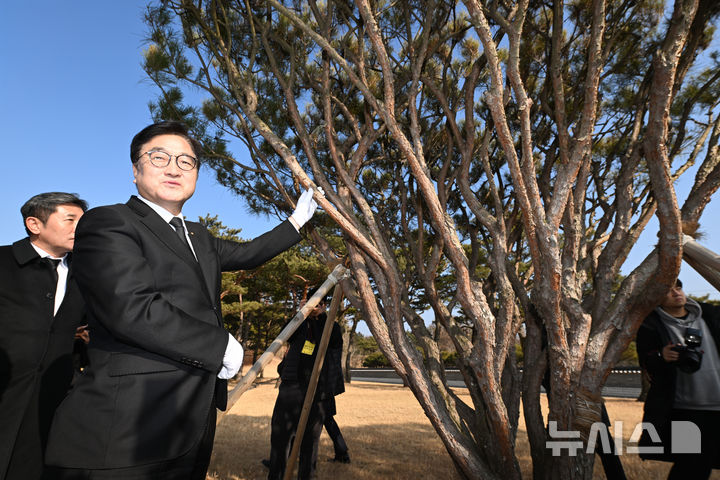 [광주=뉴시스] 이영주 기자 = 우원식 국회의장이 4일 오후 광주 북구 운정동 국립5·18민주묘지에서 자신이 심은 기념식수를 매만지고 있다. 2026.02.04. leeyj2578@newsis.com