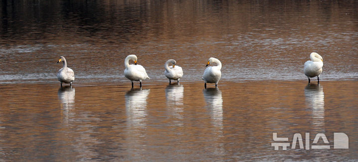 충북 대체로 맑음…오전 영하권에서 한낮 7~10도