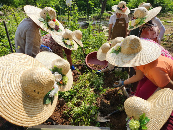 [진주=뉴시스]진주시, 맞춤형 치유농업 프로그램 운영.(사진=진주시 제공).2026.02.05.photo@newsis.com *재판매 및 DB 금지