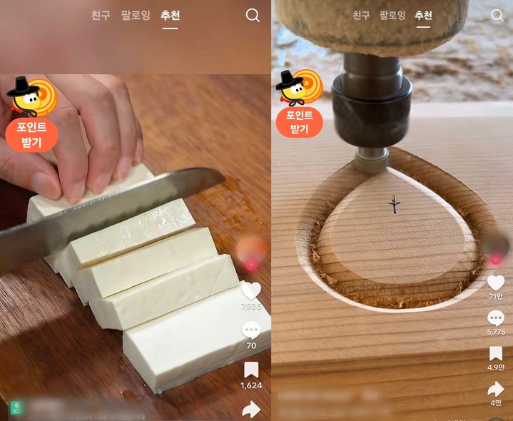 [서울=뉴시스] 틱톡 라이트. (사진=틱톡 라이트 캡처) 2026.02.05. photo@newsis.com *재판매 및 DB 금지