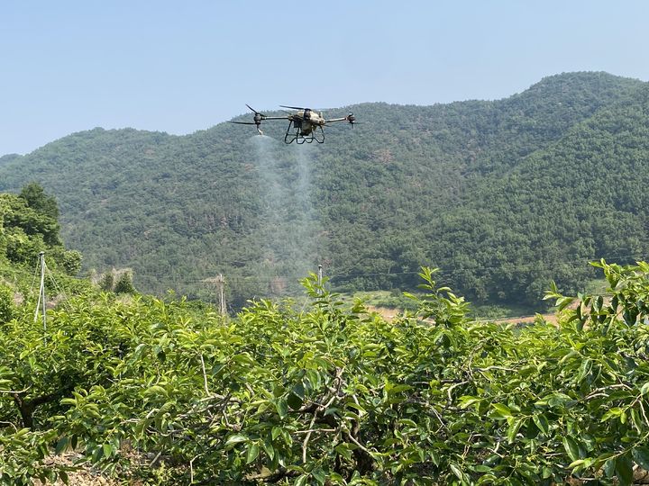 [창원=뉴시스] 드론방제 시운전 장면. (사진=창원시 제공) 2026.02.05. photo@newsis.com *재판매 및 DB 금지