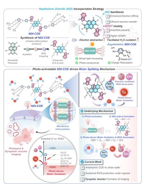 [서울=뉴시스] 연구 개념도. (사진=고려대 제공) 2026.02.05. photo@newsis.com *재판매 및 DB 금지